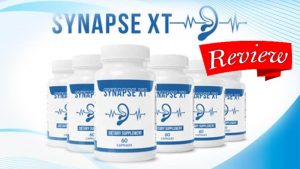 Read more about the article Synapse XT Review