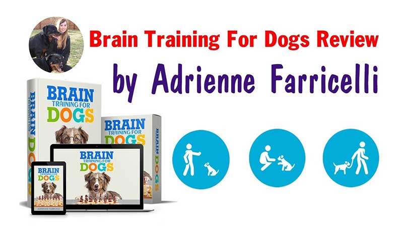 Read more about the article Brain Training For Dogs Review