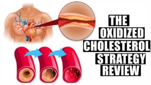 Read more about the article Oxidized Cholesterol Strategy Review