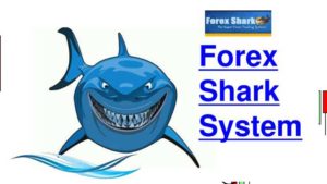 Read more about the article Forex Shark Review