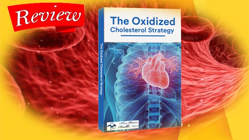 Read more about the article The Oxidized Cholesterol Strategy Review – Updated