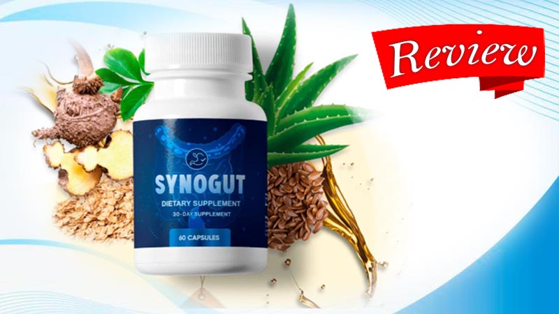 Read more about the article SynoGut Review